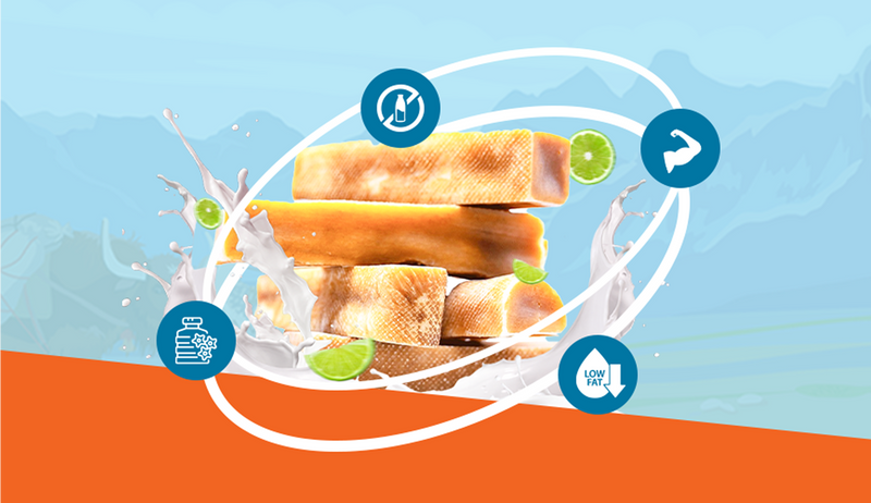 Himalayan Dog Chew Nutrition: What Nutrients Are in Yak Cheese Treats?