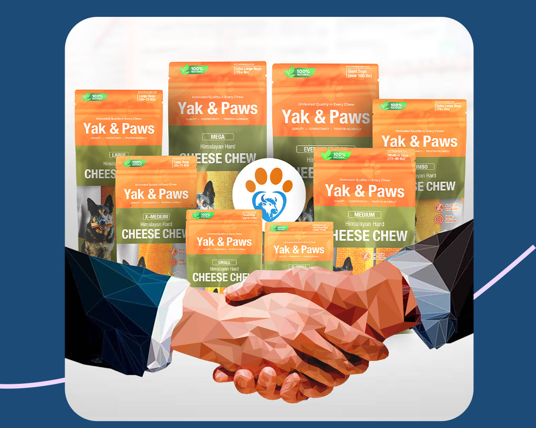 Built for Scale, Designed for Consistency