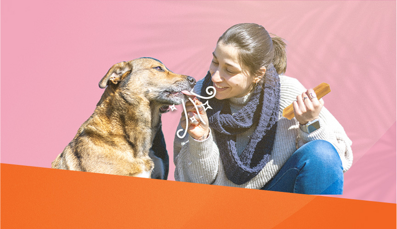 Can Himalayan Chews Help with Bad Breath in Dogs?