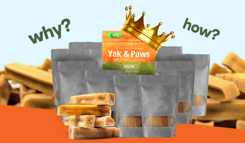Himalayan Yak Dog Chews: Why These Long-Lasting Treats Stand Out