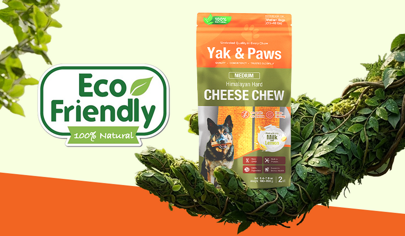 The Environmental Benefits of Himalayan Dog Chews