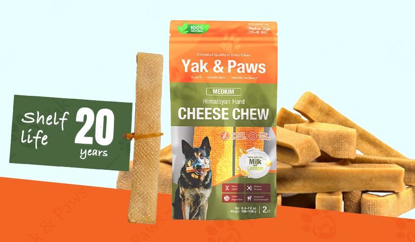 Why Himalayan Dog Chews Are a Friend to the Planet