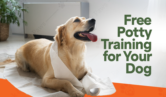Stress-Free Potty Training for Your Dog