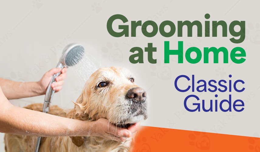Dog Grooming at Home: A Classic Guide