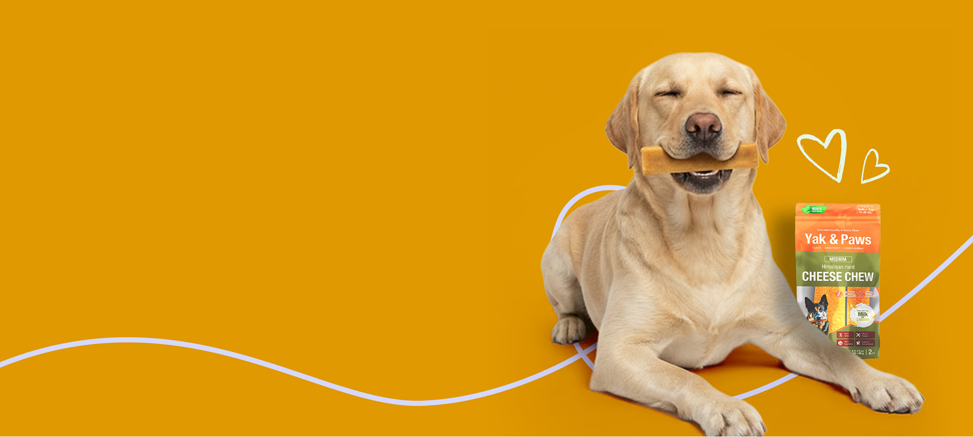 Wellness in Every Chew