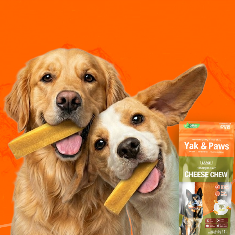 Natural Himalayan Yak Cheese Dog Chews