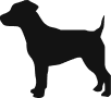 Medium