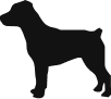 Medium