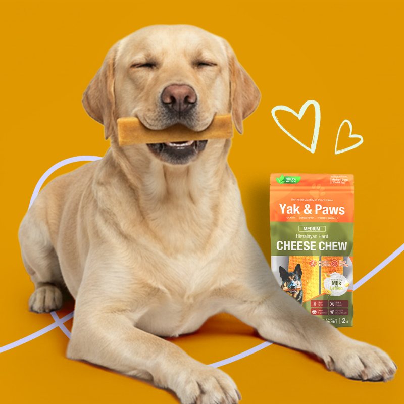 Himalayan Yak Cheese Dog Chews – Yak & Paws